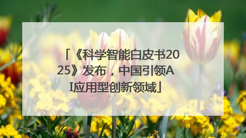 《科学智能白皮书2025》发布，中国引领AI应用型创新领域