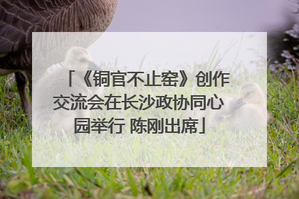 《铜官不止窑》创作交流会在长沙政协同心园举行 陈刚出席