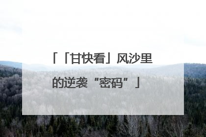 「甘快看」风沙里的逆袭“密码”