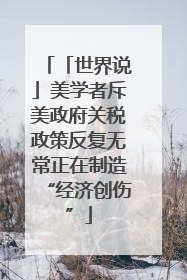 「世界说」美学者斥美政府关税政策反复无常正在制造“经济创伤”