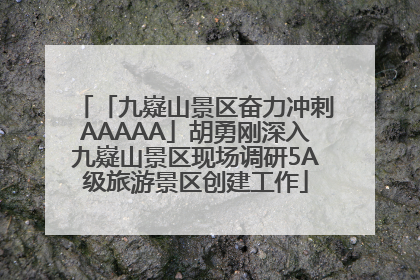 「九嶷山景区奋力冲刺AAAAA」胡勇刚深入九嶷山景区现场调研5A级旅游景区创建工作