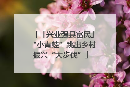 「兴业强县富民」“小青蛙”跳出乡村振兴“大步伐”
