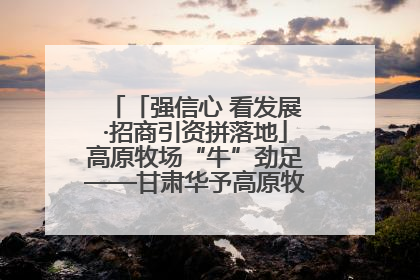 「强信心 看发展·招商引资拼落地」高原牧场“牛”劲足——甘肃华予高原牧场高标准奶牛肉牛养殖项目一线见闻