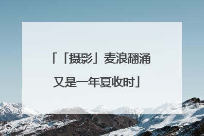 「摄影」麦浪翻涌 又是一年夏收时