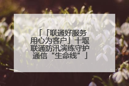 「联通好服务 用心为客户」十堰联通防汛演练守护通信“生命线”