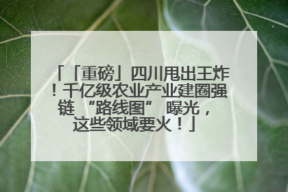 「重磅」四川甩出王炸！千亿级农业产业建圈强链 “路线图” 曝光，这些领域要火！