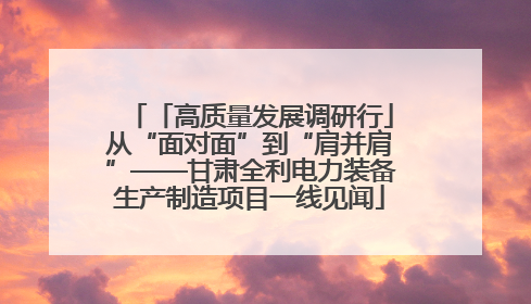 「高质量发展调研行」从“面对面”到“肩并肩”——甘肃全利电力装备生产制造项目一线见闻