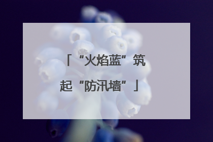 “火焰蓝”筑起“防汛墙”