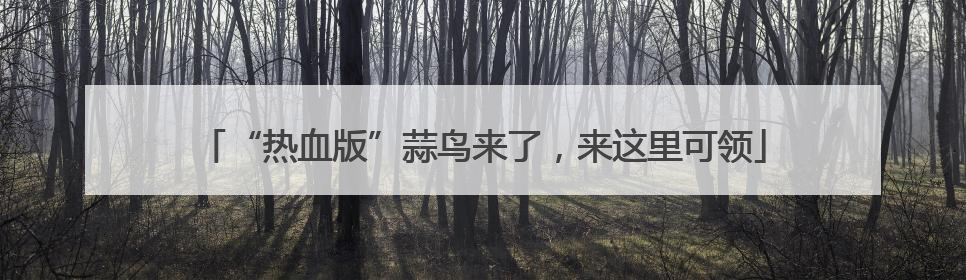 “热血版”蒜鸟来了，来这里可领