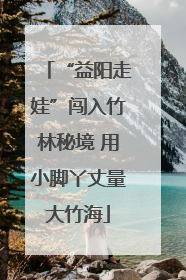 “益阳走娃”闯入竹林秘境 用小脚丫丈量大竹海