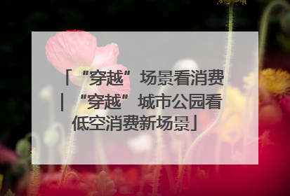 “穿越”场景看消费｜“穿越”城市公园看低空消费新场景