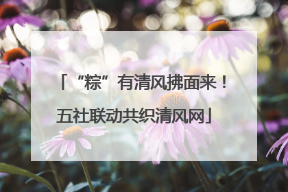 “粽”有清风拂面来！五社联动共织清风网