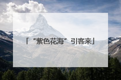 “紫色花海”引客来