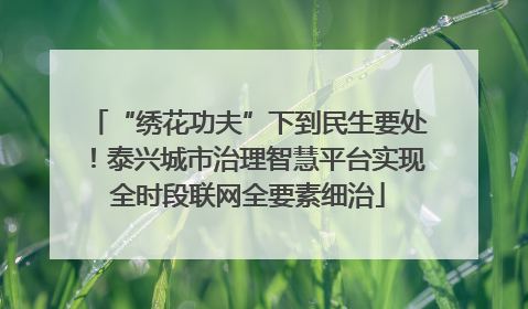 “绣花功夫”下到民生要处！泰兴城市治理智慧平台实现全时段联网全要素细治