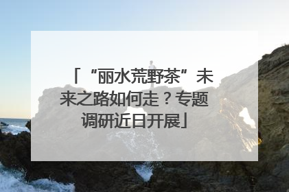 “丽水荒野茶”未来之路如何走？专题调研近日开展
