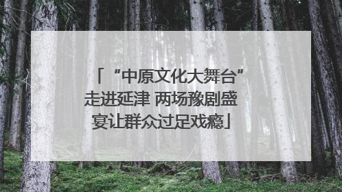 “中原文化大舞台”走进延津 两场豫剧盛宴让群众过足戏瘾