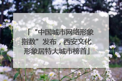 “中国城市网络形象指数”发布，西安文化形象居特大城市榜首