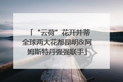 “云荷”花开并蒂 全球两大花都昆明&阿姆斯特丹强强联手