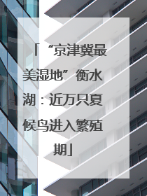 “京津冀最美湿地”衡水湖：近万只夏候鸟进入繁殖期