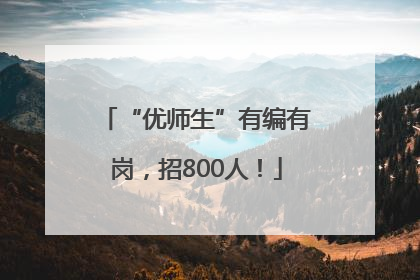 “优师生”有编有岗，招800人！