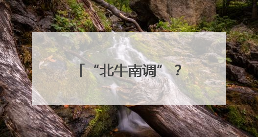 “北牛南调”？福建这里打起了“牛算盘”！