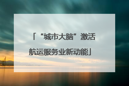 “城市大脑”激活航运服务业新动能