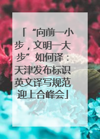 “向前一小步，文明一大步”如何译：天津发布标识英文译写规范迎上合峰会