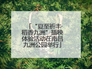 “夏至祈丰·稻香九洲”插秧体验活动在南昌九洲公园举行