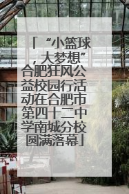 “小篮球，大梦想”合肥狂风公益校园行活动在合肥市第四十二中学南城分校圆满落幕