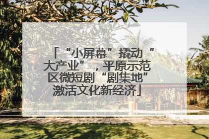 “小屏幕”撬动“大产业”，平原示范区微短剧“剧集地”激活文化新经济