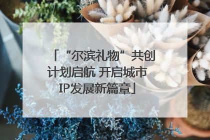 “尔滨礼物”共创计划启航 开启城市IP发展新篇章