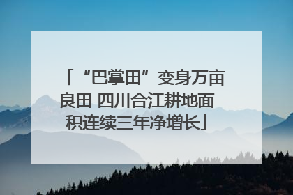 “巴掌田”变身万亩良田 四川合江耕地面积连续三年净增长