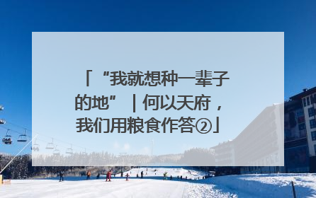 “我就想种一辈子的地”｜何以天府，我们用粮食作答②