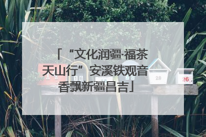 “文化润疆·福茶天山行”安溪铁观音香飘新疆昌吉