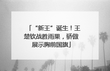 “新王”诞生！王楚钦战胜雨果，骄傲展示胸前国旗