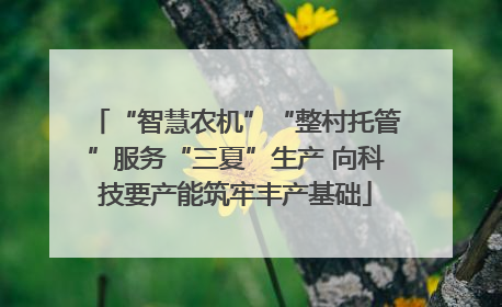 “智慧农机”“整村托管”服务“三夏”生产 向科技要产能筑牢丰产基础
