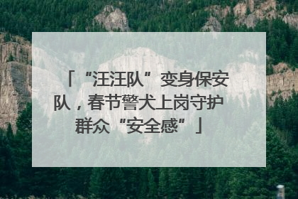 “汪汪队”变身保安队，春节警犬上岗守护群众“安全感”