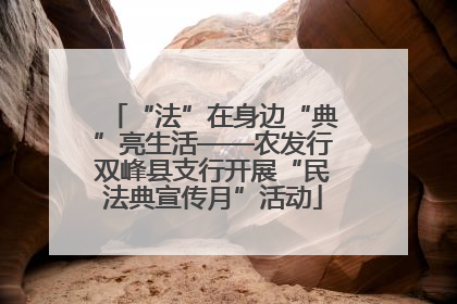 “法”在身边“典”亮生活——农发行双峰县支行开展“民法典宣传月”活动