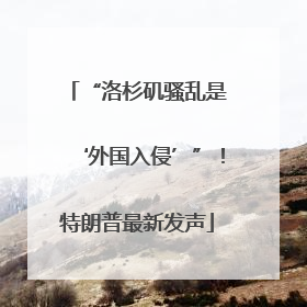 “洛杉矶骚乱是‘外国入侵’”！特朗普最新发声