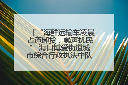 “海鲜运输车凌晨占道卸货，噪声扰民” 海口博爱街道城市综合行政执法中队：将联合交警加强长堤路一带巡逻