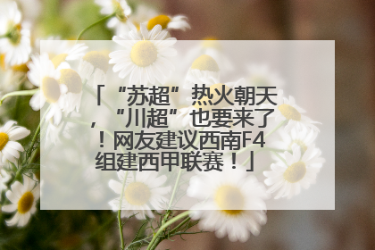 “苏超”热火朝天，“川超”也要来了！网友建议西南F4组建西甲联赛！