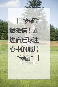 “苏超”燃激情！走进宿迁球迷心中的那片“绿茵”