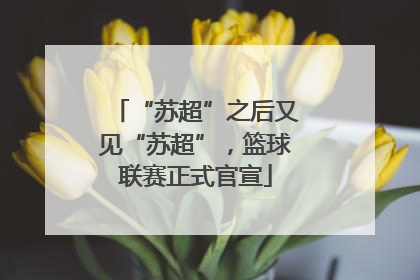 “苏超”之后又见“苏超”，篮球联赛正式官宣