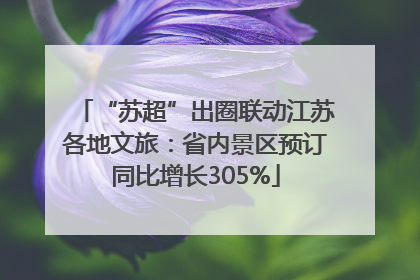 “苏超”出圈联动江苏各地文旅：省内景区预订同比增长305%