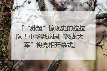“苏超”惊现史前拉拉队！中华恐龙园“恐龙大军”将亮相开幕式