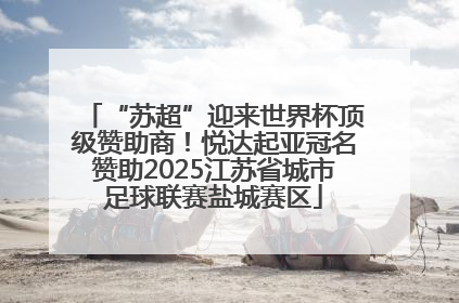 “苏超”迎来世界杯顶级赞助商！悦达起亚冠名赞助2025江苏省城市足球联赛盐城赛区