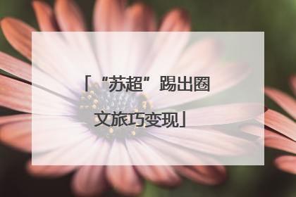 “苏超”踢出圈 文旅巧变现