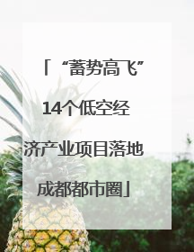 “蓄势高飞” 14个低空经济产业项目落地成都都市圈