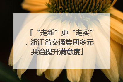 “走新”更“走实”，浙江省交通集团多元共治提升满意度