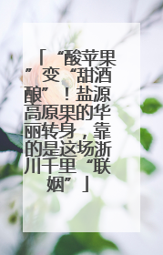 “酸苹果”变“甜酒酿”！盐源高原果的华丽转身，靠的是这场浙川千里“联姻”